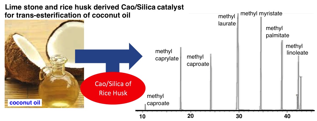 Catalytic Performance of CaO\/SiO2 Prepared from Local Limestone Industry and Rice Husk Silica ...
