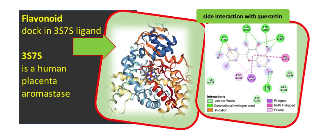 DFT and Molecular Docking Investigation of Potential Anticancer Properties of Some Flavonoids ...